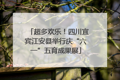 超多欢乐！四川宜宾江安县举行庆“六一”五育成果展