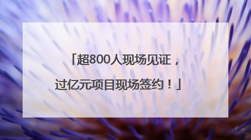 超800人现场见证，过亿元项目现场签约！