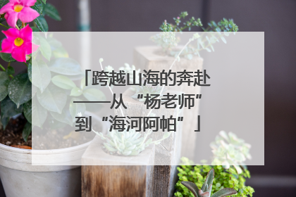 跨越山海的奔赴——从“杨老师”到“海河阿帕”
