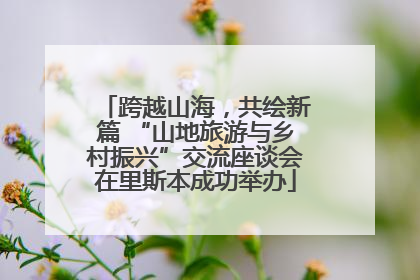 跨越山海，共绘新篇 “山地旅游与乡村振兴”交流座谈会在里斯本成功举办