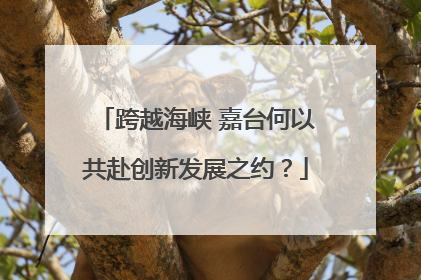 跨越海峡 嘉台何以共赴创新发展之约？