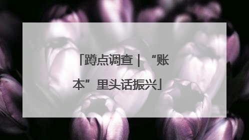 蹲点调查｜“账本”里头话振兴