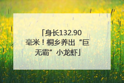 身长132.90毫米！桐乡养出“巨无霸”小龙虾
