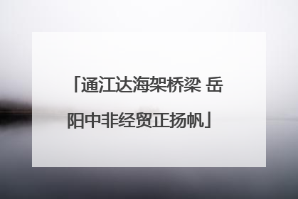 通江达海架桥梁 岳阳中非经贸正扬帆