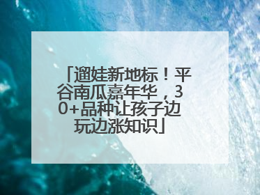 遛娃新地标！平谷南瓜嘉年华，30+品种让孩子边玩边涨知识
