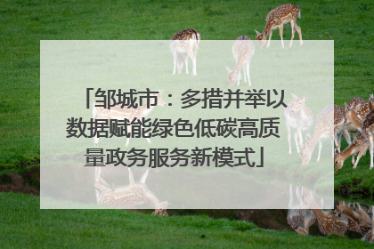 邹城市：多措并举以数据赋能绿色低碳高质量政务服务新模式