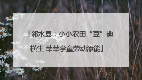邻水县：小小农田“豆”趣横生 莘莘学童劳动添能