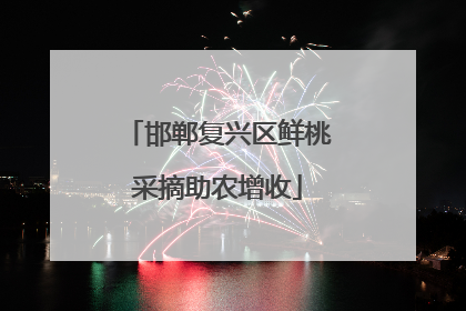 邯郸复兴区鲜桃采摘助农增收