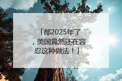 都2025年了，美国竟然还在容忍这种做法！