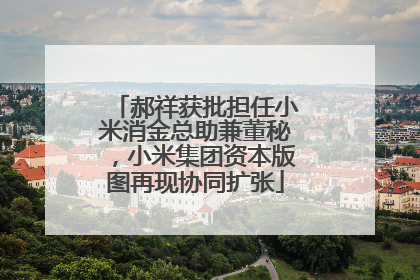 郝祥获批担任小米消金总助兼董秘，小米集团资本版图再现协同扩张