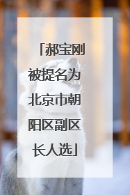 郝宝刚被提名为北京市朝阳区副区长人选