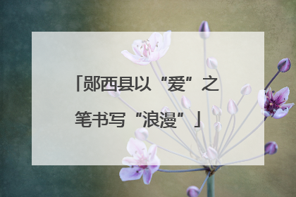郧西县以“爱”之笔书写“浪漫”