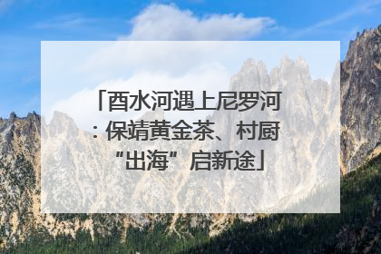 酉水河遇上尼罗河：保靖黄金茶、村厨“出海”启新途