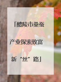 醴陵市桑蚕产业探索致富新“丝”路