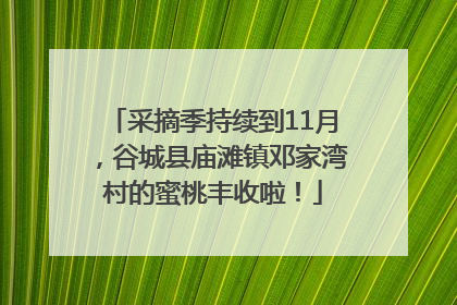 采摘季持续到11月，谷城县庙滩镇邓家湾村的蜜桃丰收啦！