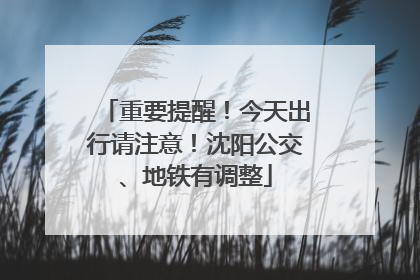 重要提醒！今天出行请注意！沈阳公交、地铁有调整
