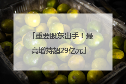 重要股东出手！最高增持超29亿元