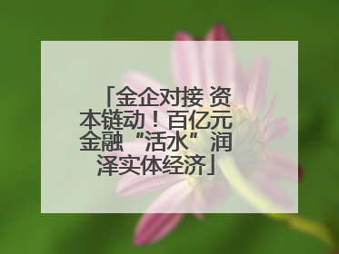 金企对接 资本链动！百亿元金融“活水”润泽实体经济