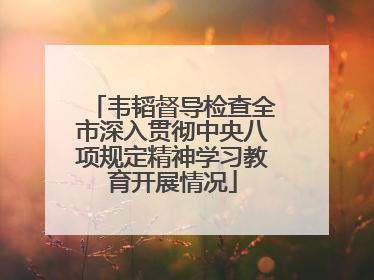 韦韬督导检查全市深入贯彻中央八项规定精神学习教育开展情况