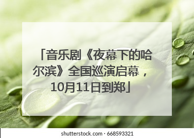 音乐剧《夜幕下的哈尔滨》全国巡演启幕，10月11日到郑