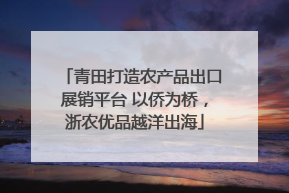 青田打造农产品出口展销平台 以侨为桥，浙农优品越洋出海
