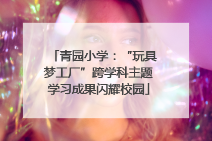 青园小学：“玩具梦工厂”跨学科主题学习成果闪耀校园