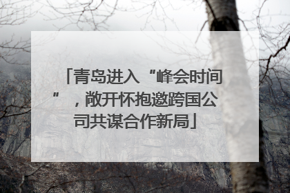 青岛进入“峰会时间”，敞开怀抱邀跨国公司共谋合作新局
