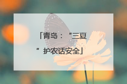 青岛：“三夏”护农话安全