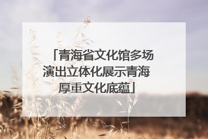 青海省文化馆多场演出立体化展示青海厚重文化底蕴