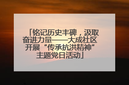 铭记历史丰碑，汲取奋进力量——大成社区开展“传承抗洪精神”主题党日活动
