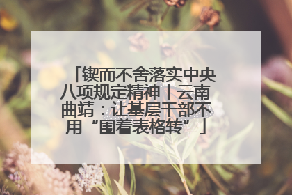 锲而不舍落实中央八项规定精神丨云南曲靖：让基层干部不用“围着表格转”