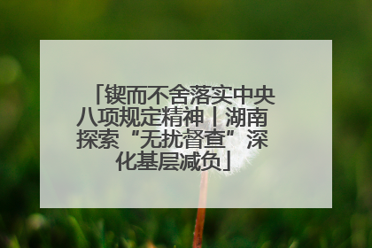 锲而不舍落实中央八项规定精神丨湖南探索“无扰督查”深化基层减负