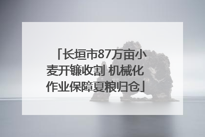 长垣市87万亩小麦开镰收割 机械化作业保障夏粮归仓