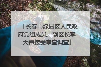 长春市绿园区人民政府党组成员、副区长李大伟接受审查调查
