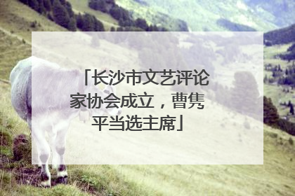 长沙市文艺评论家协会成立，曹隽平当选主席