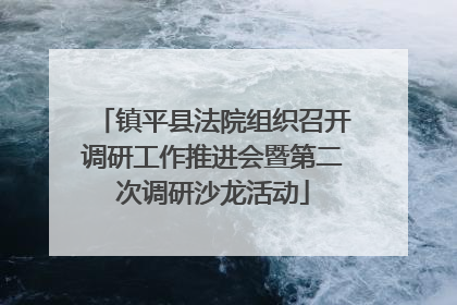 镇平县法院组织召开调研工作推进会暨第二次调研沙龙活动