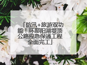 防汛+旅游双功能！环鄱阳湖堤顶公路应急保通工程全面完工