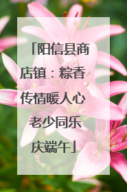 阳信县商店镇：粽香传情暖人心 老少同乐庆端午