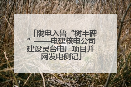 陇电入鲁“树丰碑”——电建核电公司建设灵台电厂项目并网发电侧记