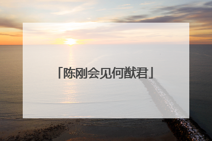 陈刚会见何猷君