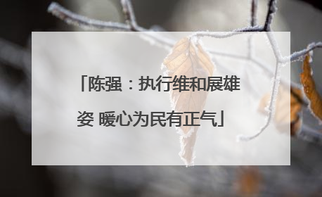 陈强：执行维和展雄姿 暖心为民有正气