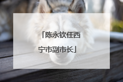 陈永钦任西宁市副市长