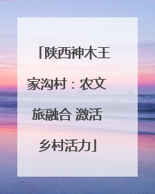 陕西神木王家沟村：农文旅融合 激活乡村活力