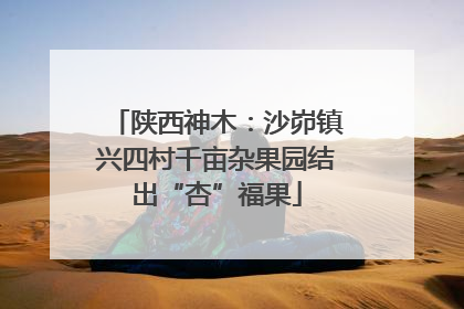 陕西神木：沙峁镇兴四村千亩杂果园结出“杏”福果