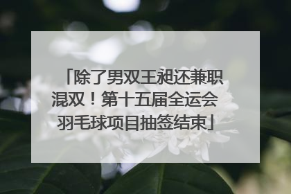 除了男双王昶还兼职混双！第十五届全运会羽毛球项目抽签结束