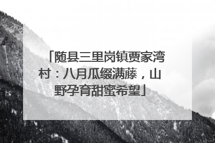 随县三里岗镇贾家湾村：八月瓜缀满藤，山野孕育甜蜜希望