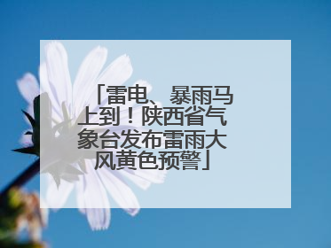 雷电、暴雨马上到！陕西省气象台发布雷雨大风黄色预警