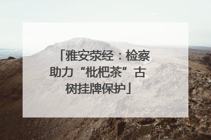 雅安荥经：检察助力“枇杷茶”古树挂牌保护
