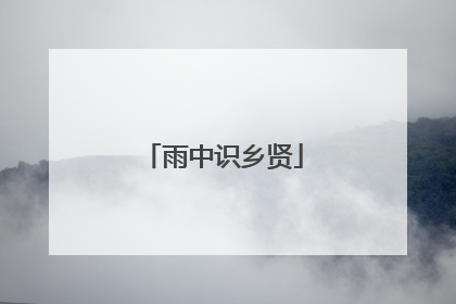 雨中识乡贤
