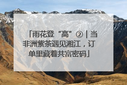 雨花登“高”②｜当非洲紫茶遇见湘江，订单里藏着共富密码